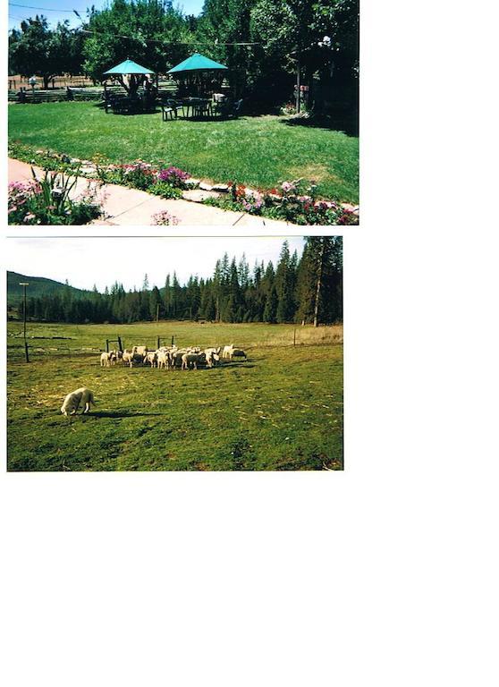 Big Creek Meadow Ranch Bed and Breakfast Groveland Eksteriør billede